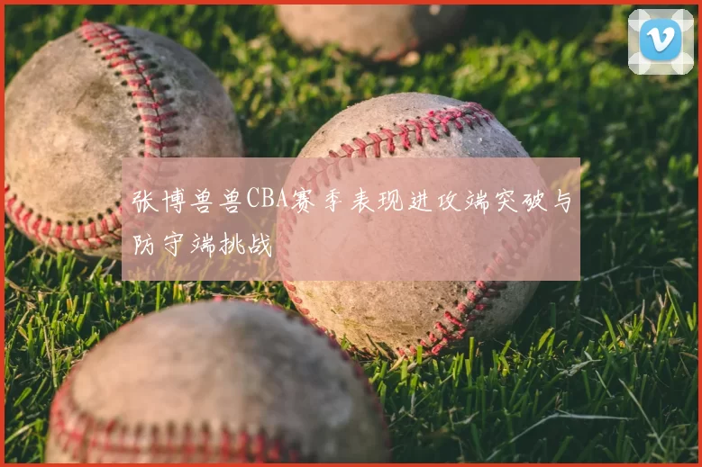 张博兽兽CBA赛季表现进攻端突破与防守端挑战