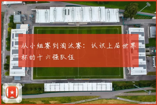 从小组赛到淘汰赛:认识上届世界杯的十六强队伍