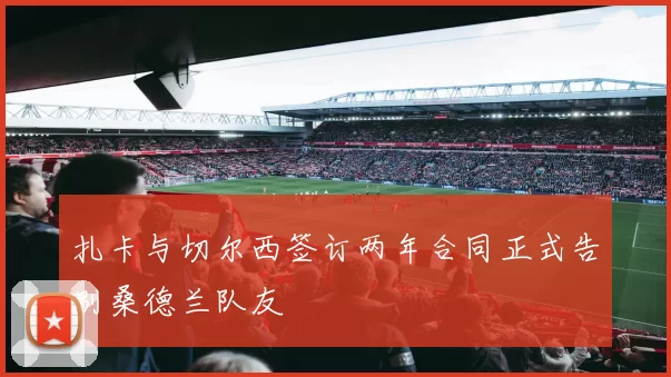 扎卡与切尔西签订两年合同正式告别桑德兰队友