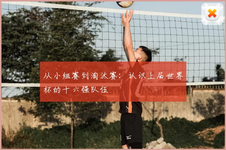 从小组赛到淘汰赛:认识上届世界杯的十六强队伍