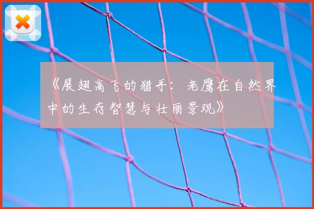 《展翅高飞的猎手：老鹰在自然界中的生存智慧与壮丽景观》