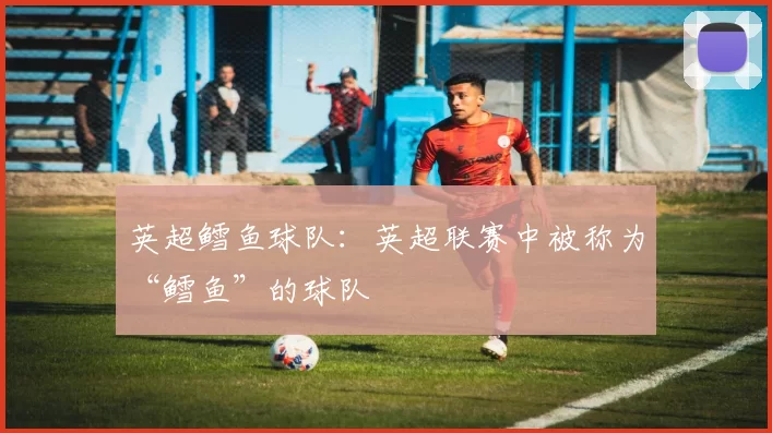 英超鳕鱼球队：英超联赛中被称为“鳕鱼”的球队