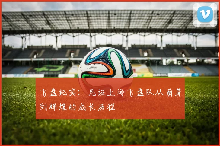 飞盘纪实：见证上海飞盘队从萌芽到辉煌的成长历程