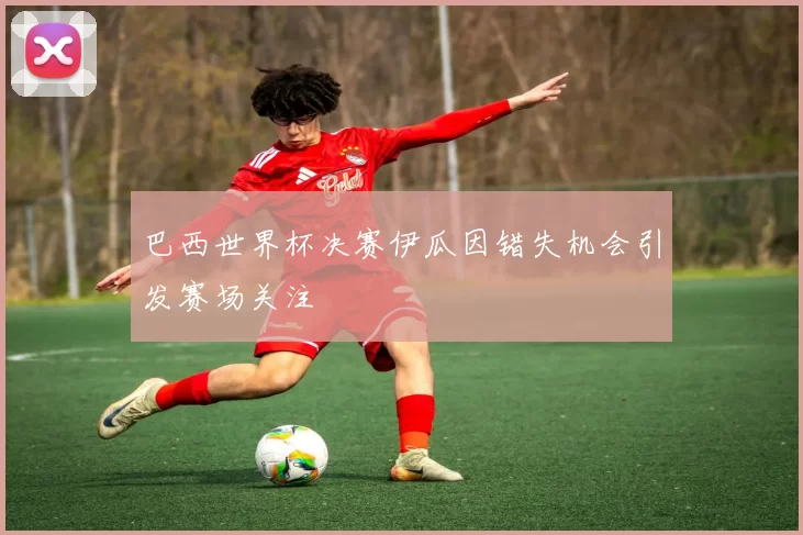 巴西世界杯决赛伊瓜因错失机会引发赛场关注