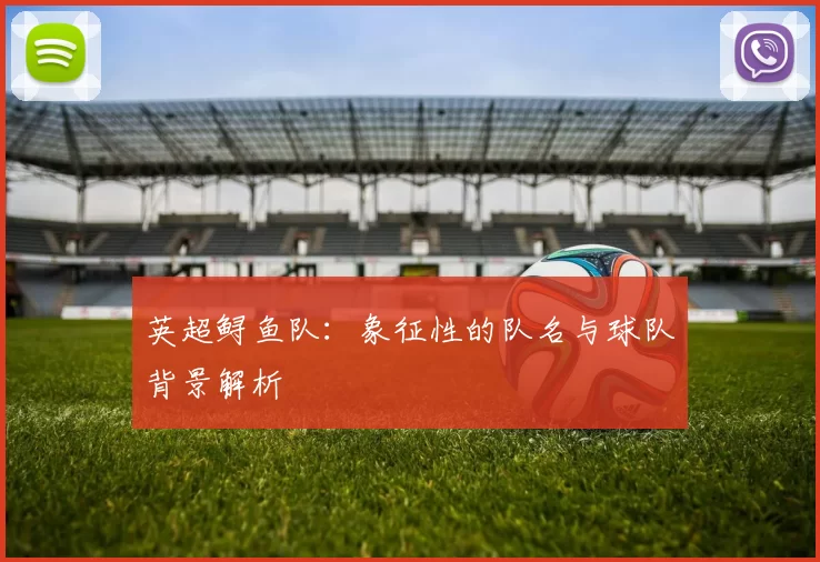 英超鲟鱼队：象征性的队名与球队背景解析
