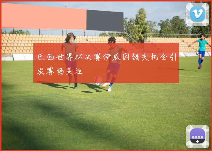 巴西世界杯决赛伊瓜因错失机会引发赛场关注