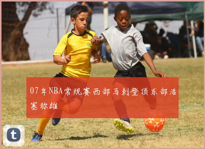 07年NBA常规赛西部马刺登顶东部活塞称雄