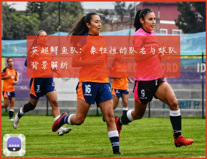 英超鲟鱼队：象征性的队名与球队背景解析