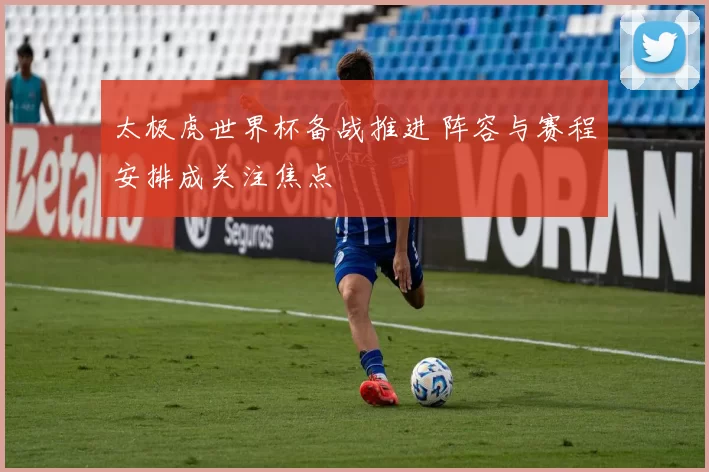 太极虎世界杯备战推进 阵容与赛程安排成关注焦点