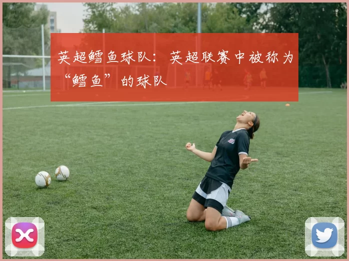 英超鳕鱼球队：英超联赛中被称为“鳕鱼”的球队