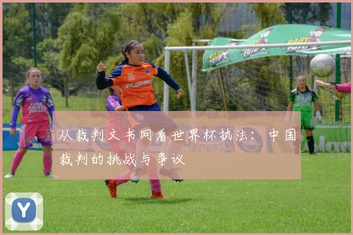 从裁判文书网看世界杯执法：中国裁判的挑战与争议