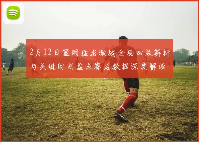 2月12日篮网猛龙激战全场回放解析与关键时刻盘点赛后数据深度解读