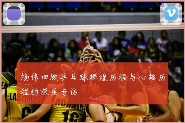 杨伟回顾乒乓球辉煌历程与心路历程的深度专访