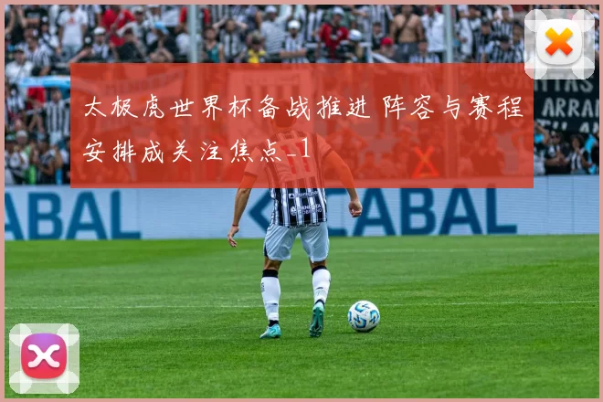 太极虎世界杯备战推进 阵容与赛程安排成关注焦点_1