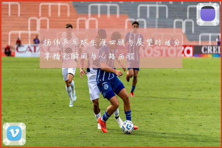 杨伟乒乓球生涯回顾与展望对话分享精彩瞬间与心路历程