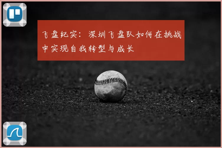 飞盘纪实：深圳飞盘队如何在挑战中实现自我转型与成长