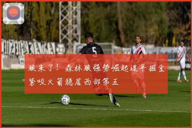 狼来了！森林狼强势崛起追平掘金紧咬火箭稳居西部第五